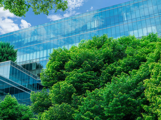 Net Zero