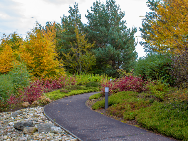 Paved walkway through gardens with autumnal coloured trees.