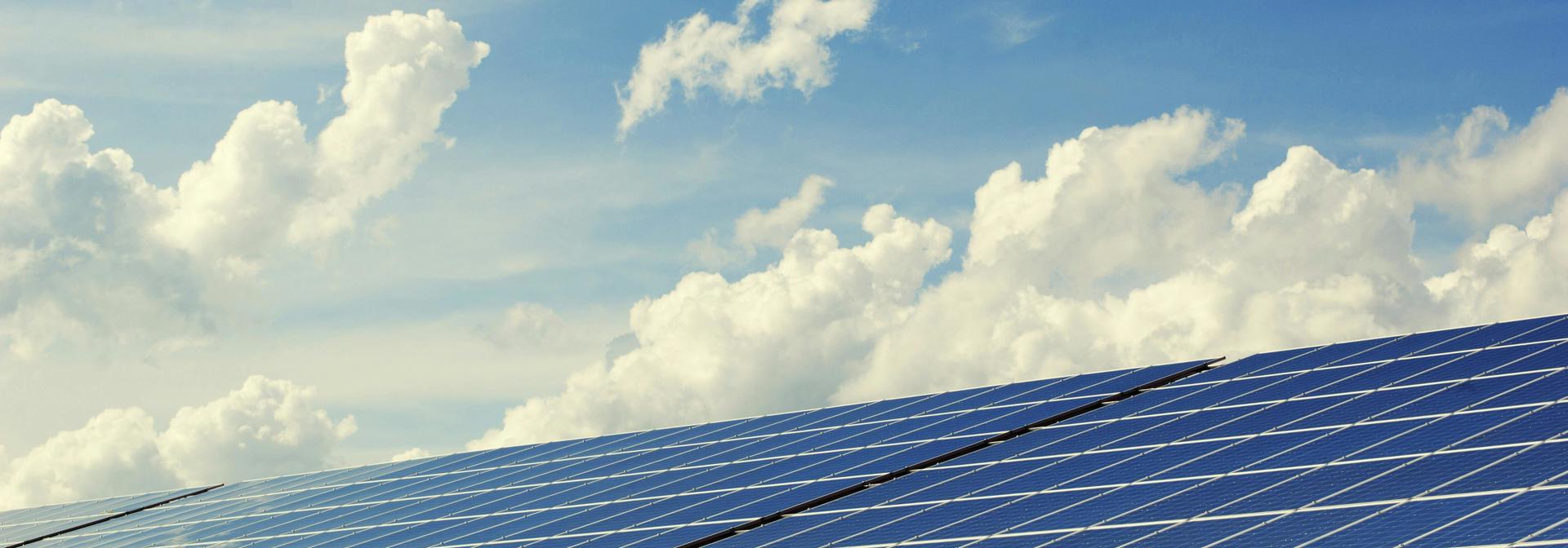 Many solar panels facing a blue sky