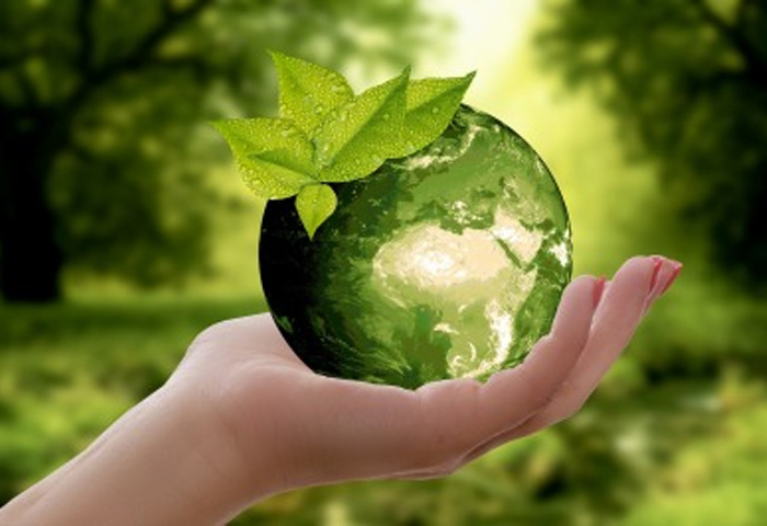 Hand holding a globe, styled like an apple 