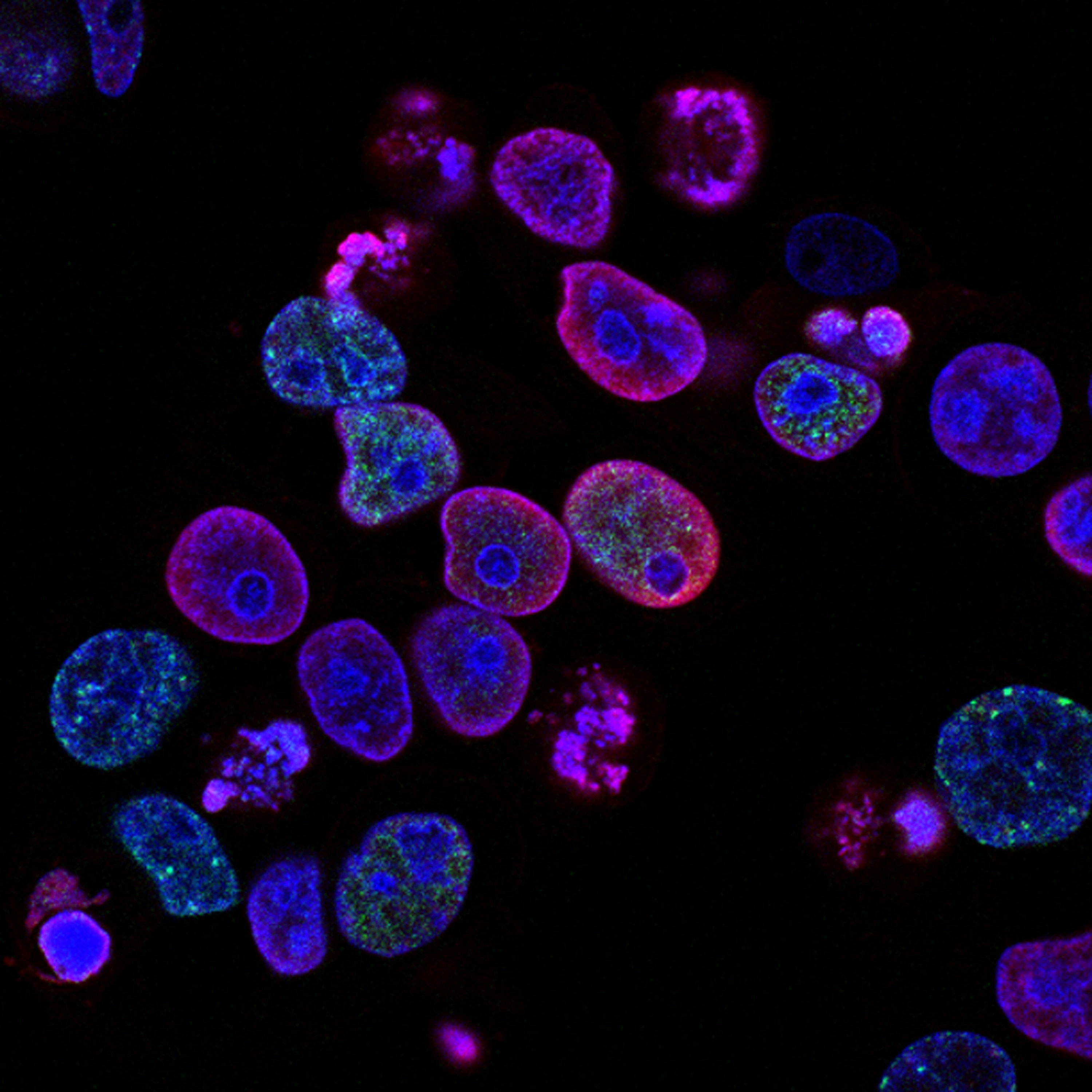 life-sciences-banner