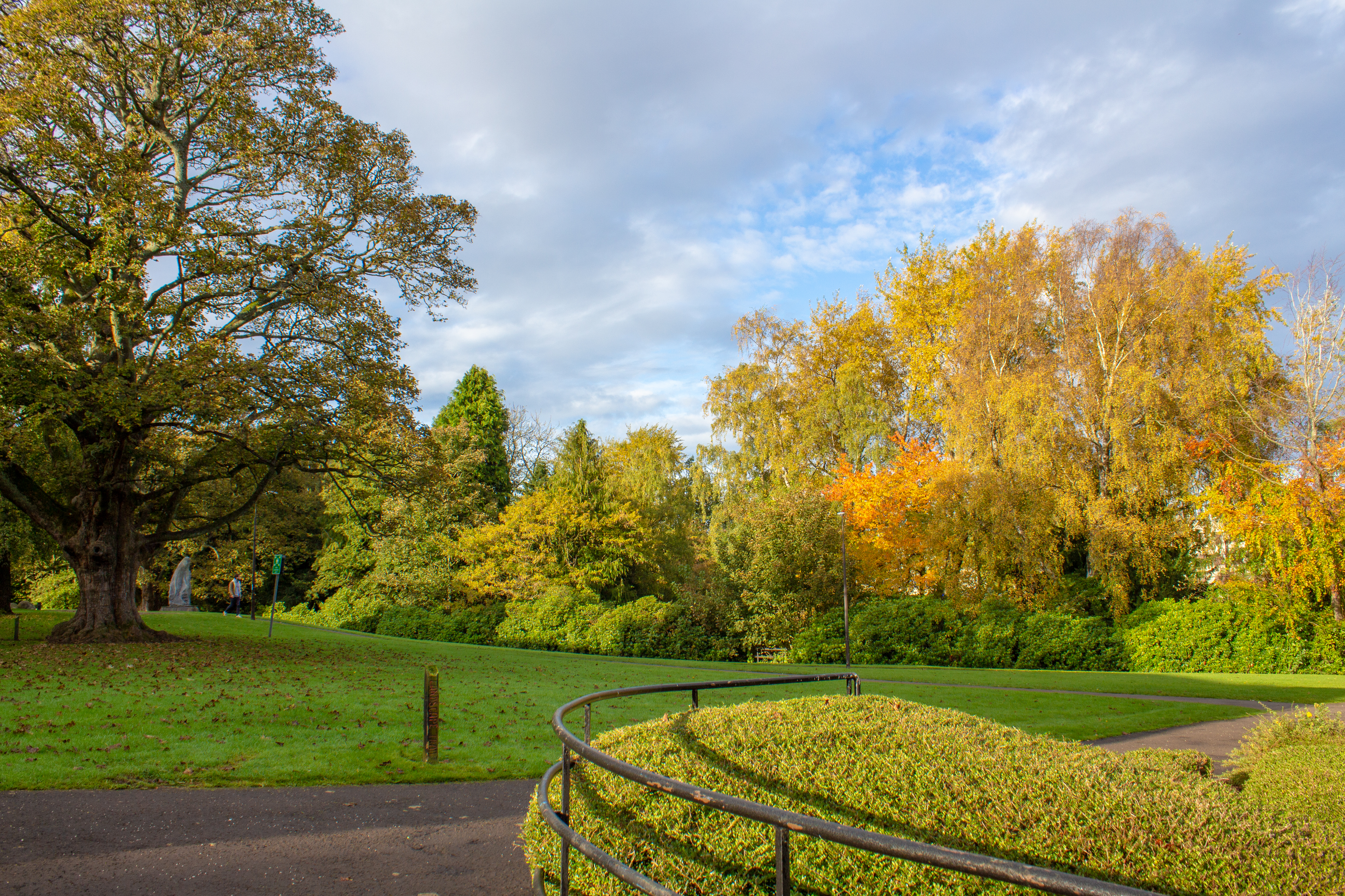 Nature and scenery on Edinburgh campus.