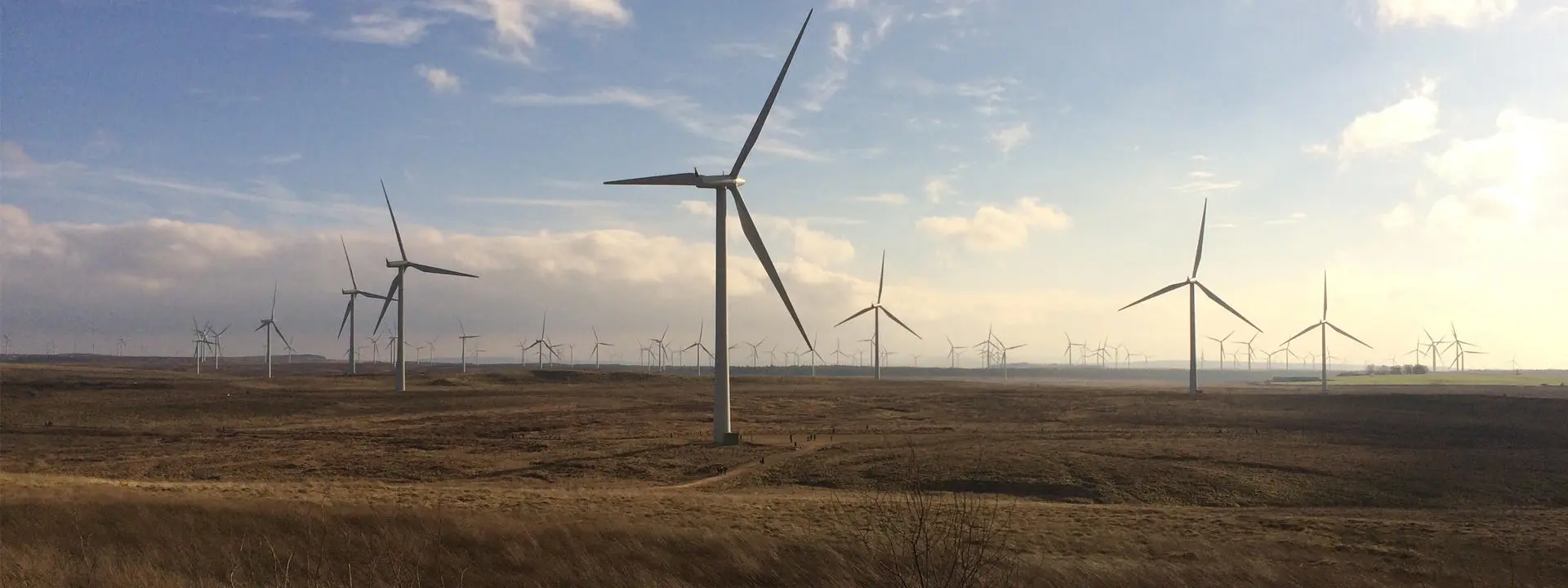 Wide view of a wind farm with multiple large wind turbines.