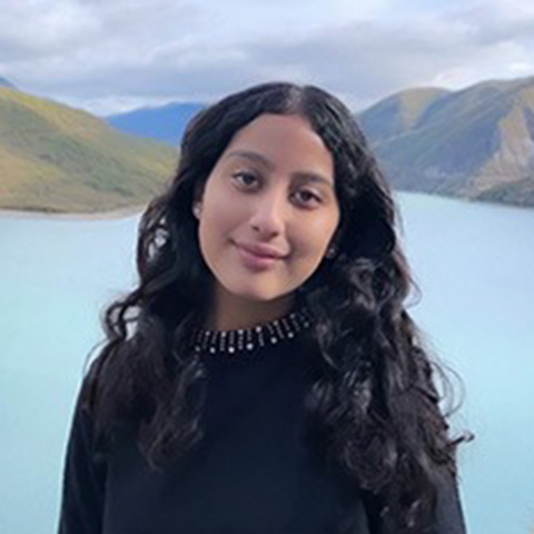 Fareeha Hussain
