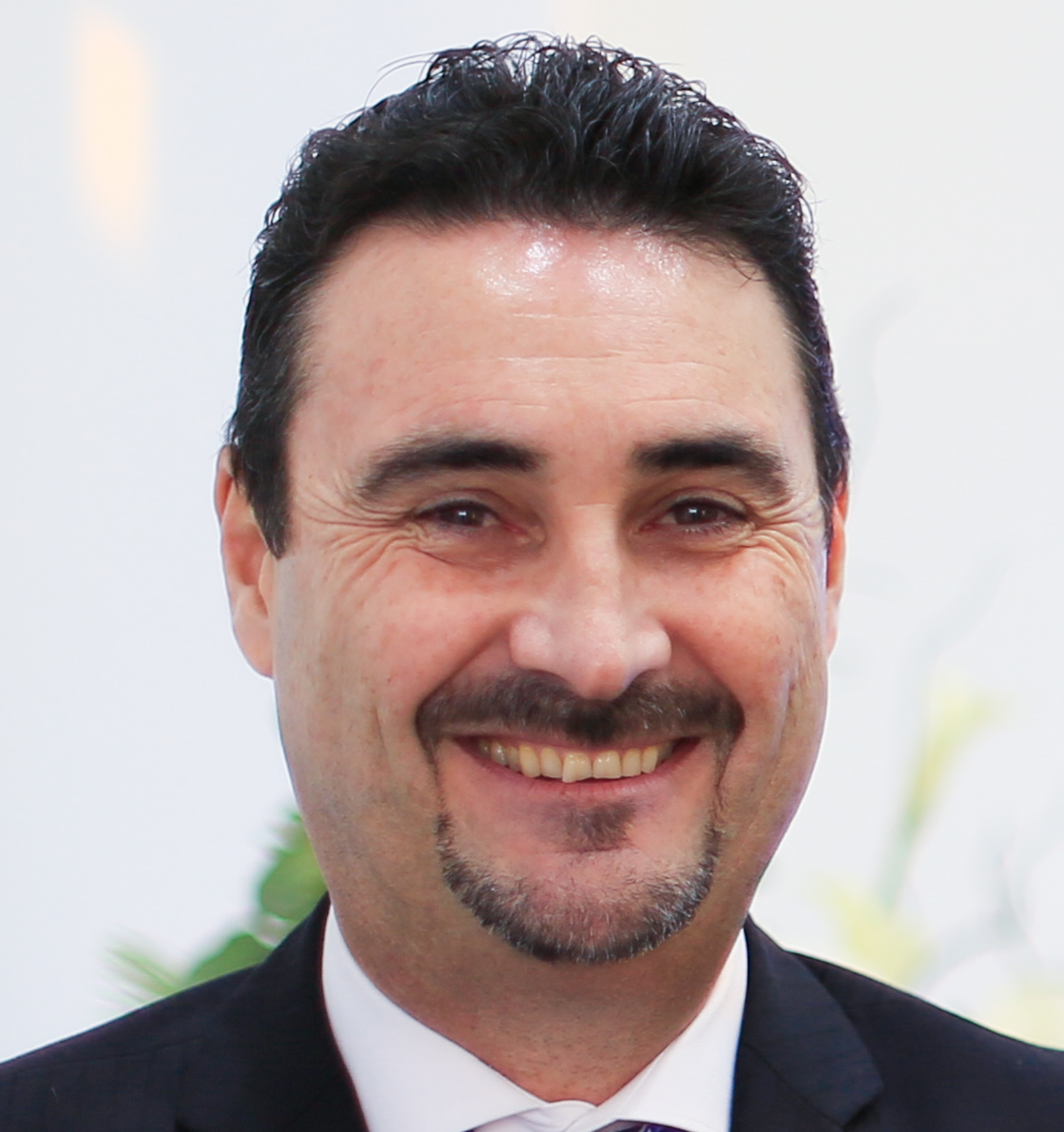 Martin Palmer